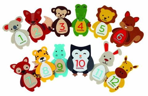 嬰兒相框Pearhead香港限定優惠 第一年寶寶成長毛毯貼紙